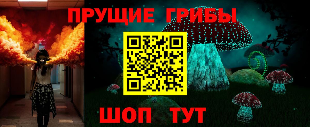 цена   Галлюциногенные грибы MAGIC MUSHROOMS  Вход с VPN  Керчь 