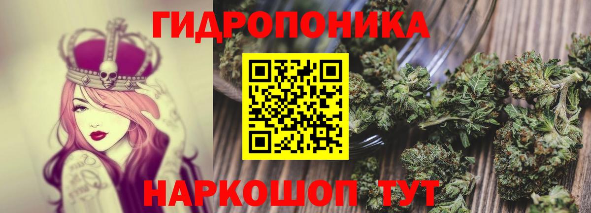 Каннабис тримм  Вход с VPN  Бошки марихуана Bruce Banner  Канабис VHQ  Керчь  Конопля Ganja 